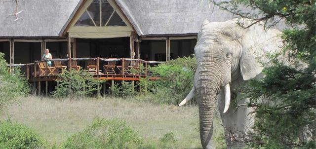 The Bush Lodge The Bush Lodge