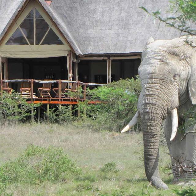 The Bush Lodge The Bush Lodge