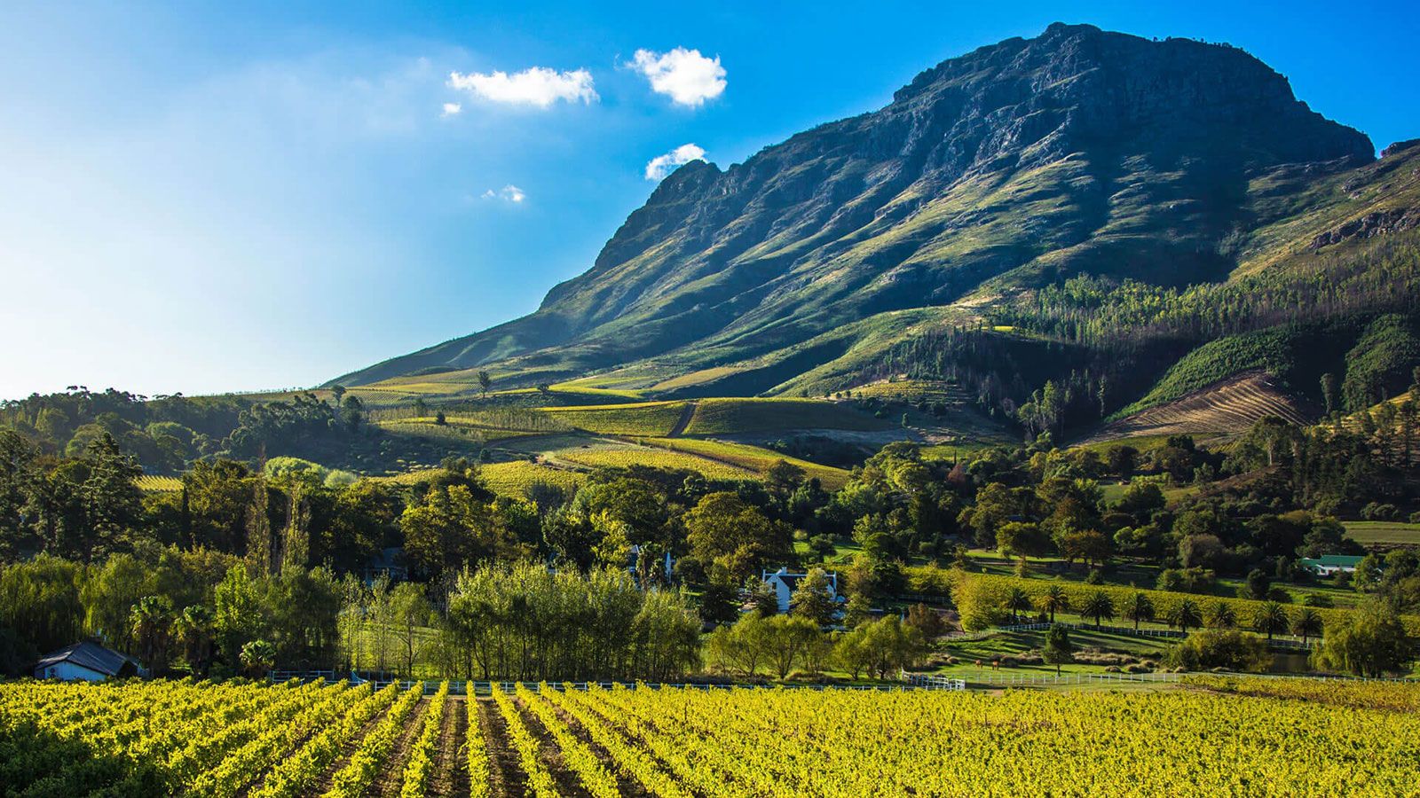 Winelands Winelands