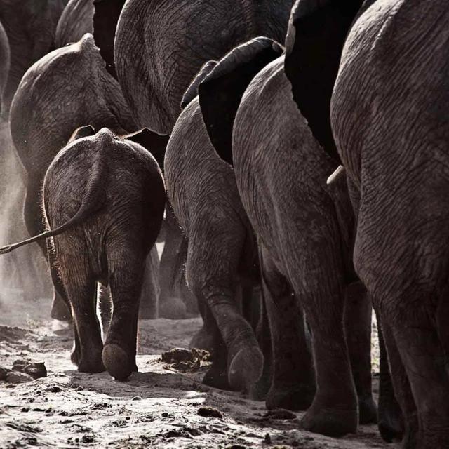 Kavinga Bush Camp Kavinga Bush Camp
