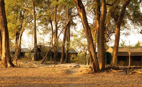 Footsteps Across the Delta Footsteps Across the Delta