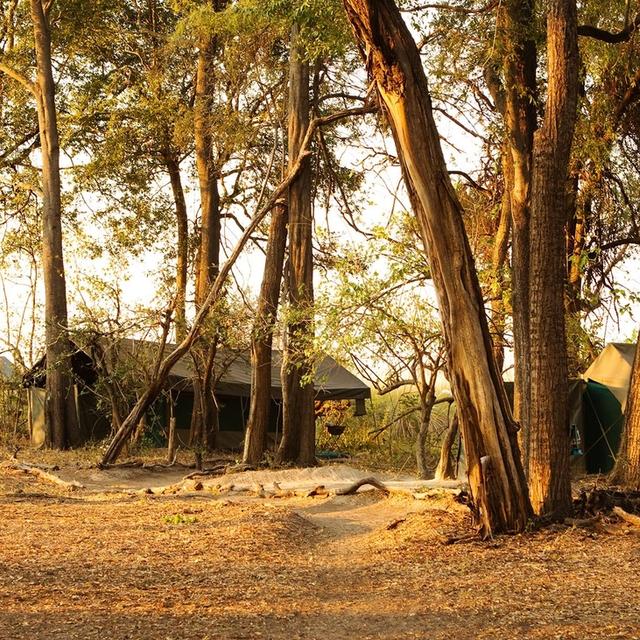 Footsteps Across the Delta Footsteps Across the Delta