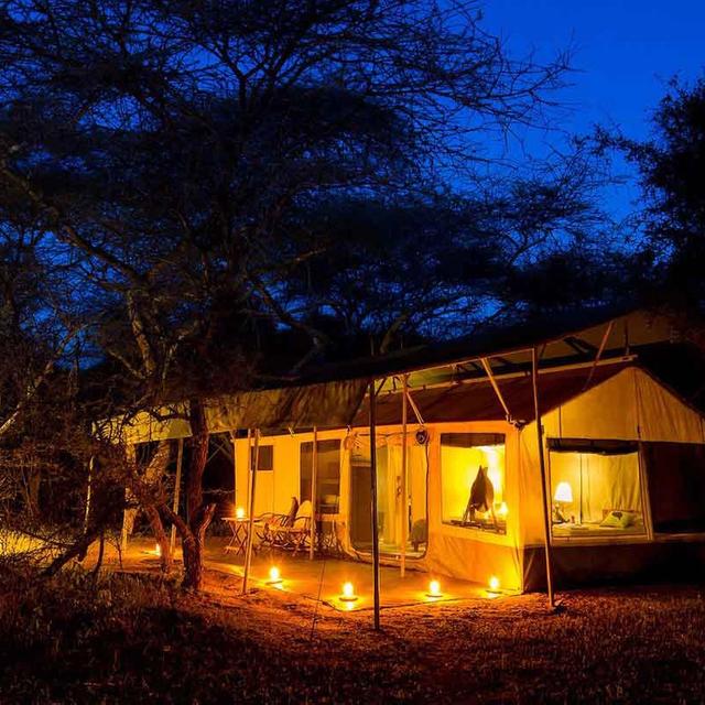 Amboseli Porini Camp