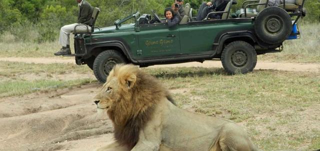 Gomo Gomo Game Lodge Gomo Gomo Game Lodge