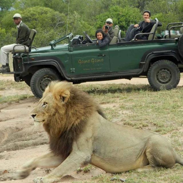 Gomo Gomo Game Lodge Gomo Gomo Game Lodge