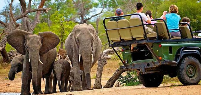 Kruger Adventure Safari Kruger Adventure Safari
