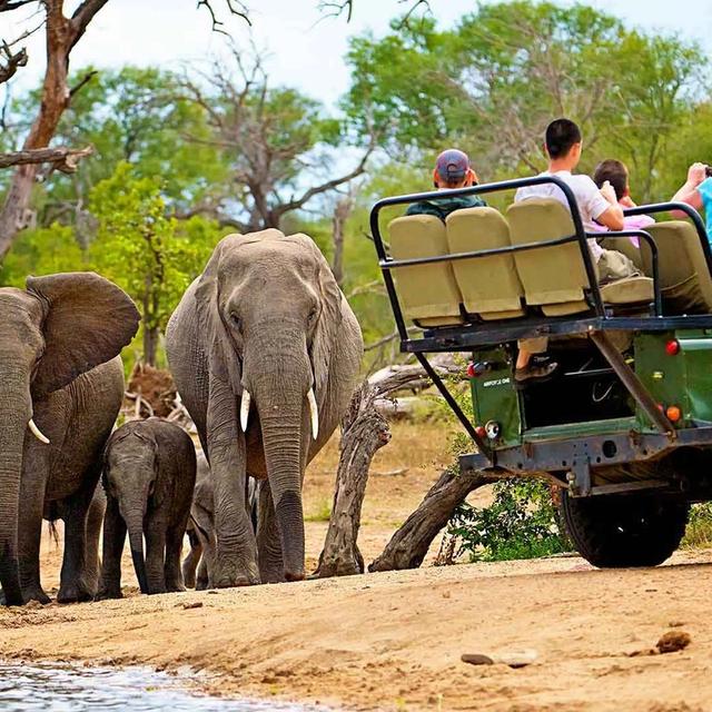 Kruger Adventure Safari