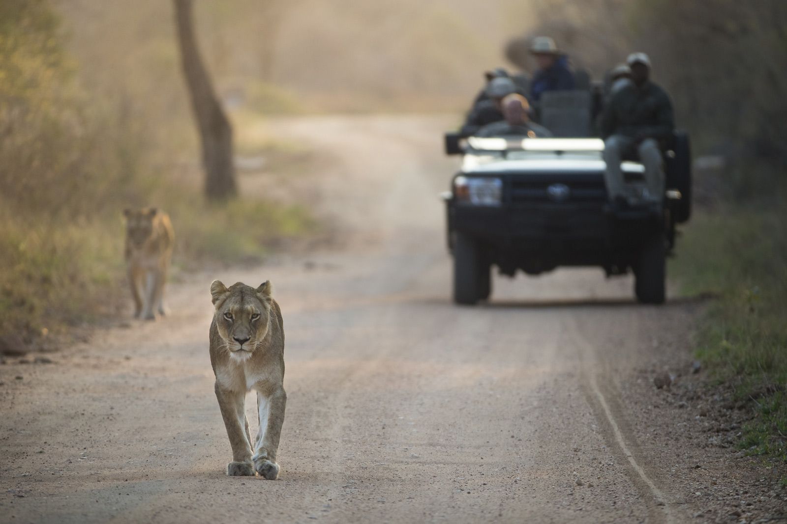 Kapama Game Reserve