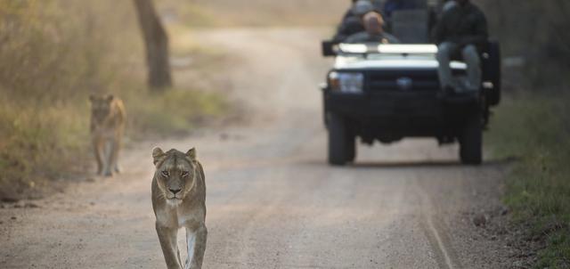 Kapama Game Reserve Kapama Game Reserve