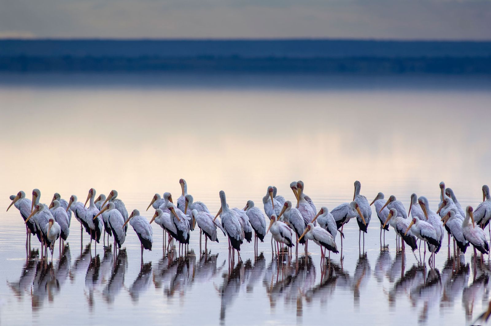 Lake Manyara National Park