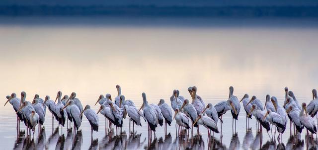 Lake Manyara National Park Lake Manyara National Park