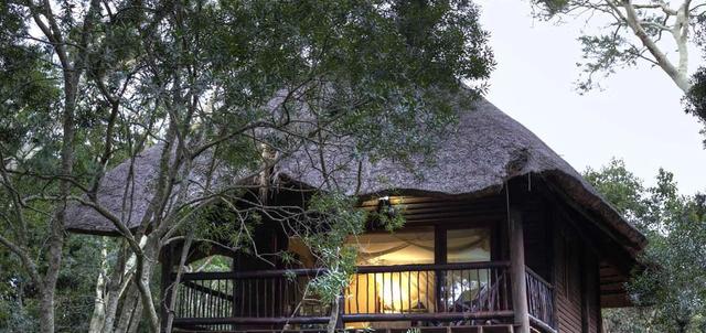 Zululand Tree Lodge Zululand Tree Lodge