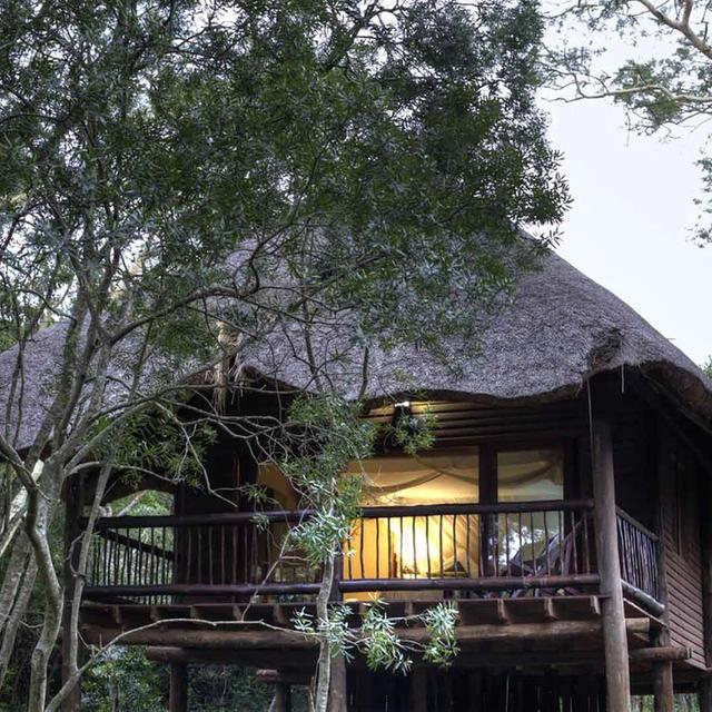 Zululand Tree Lodge
