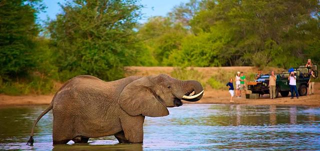Kruger National Park Kruger National Park