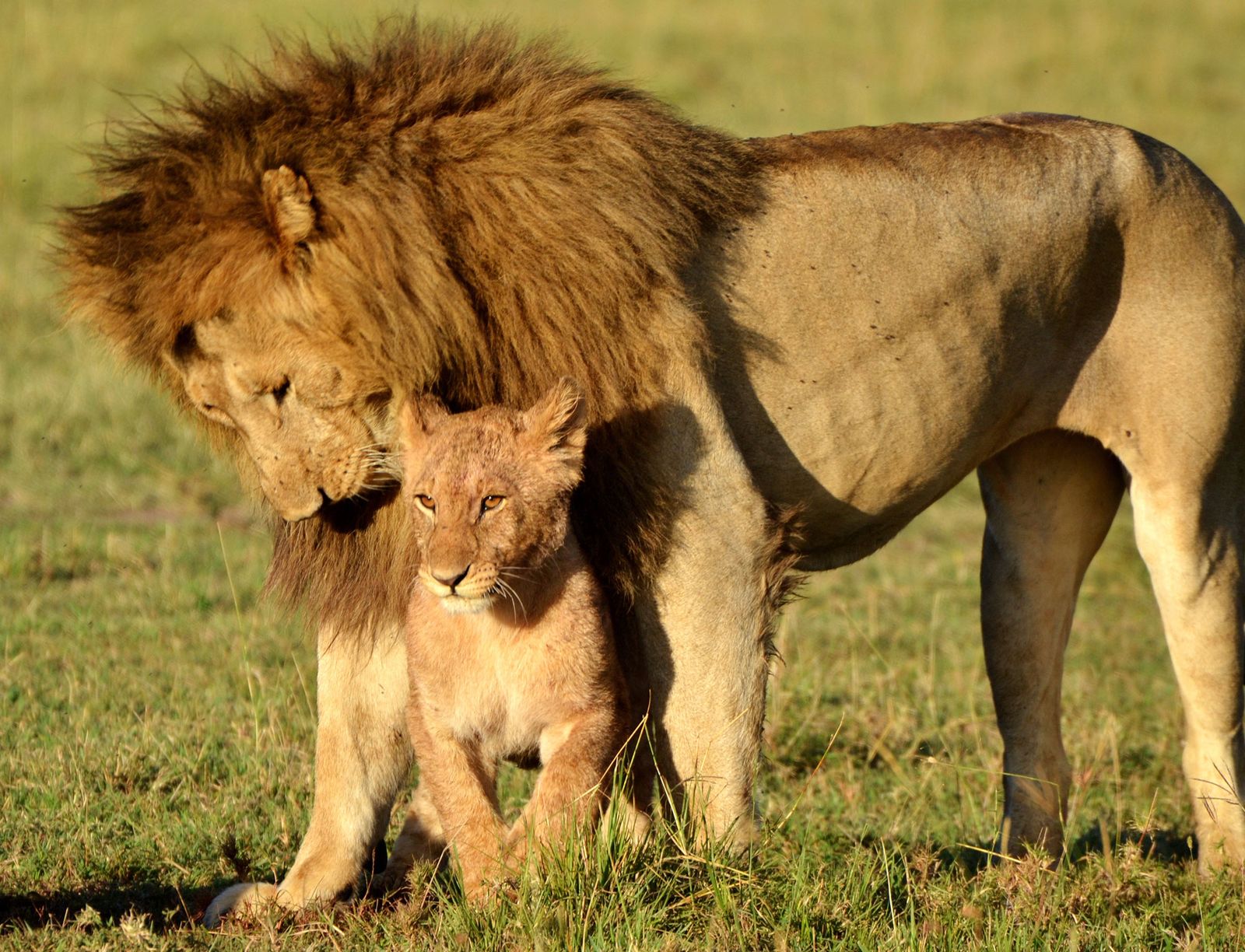 Shaba National Reserve Shaba National Reserve