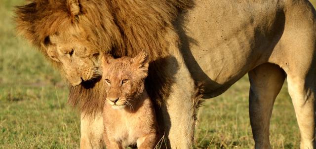 Shaba National Reserve Shaba National Reserve
