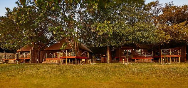 Crocodile Camp Crocodile Camp