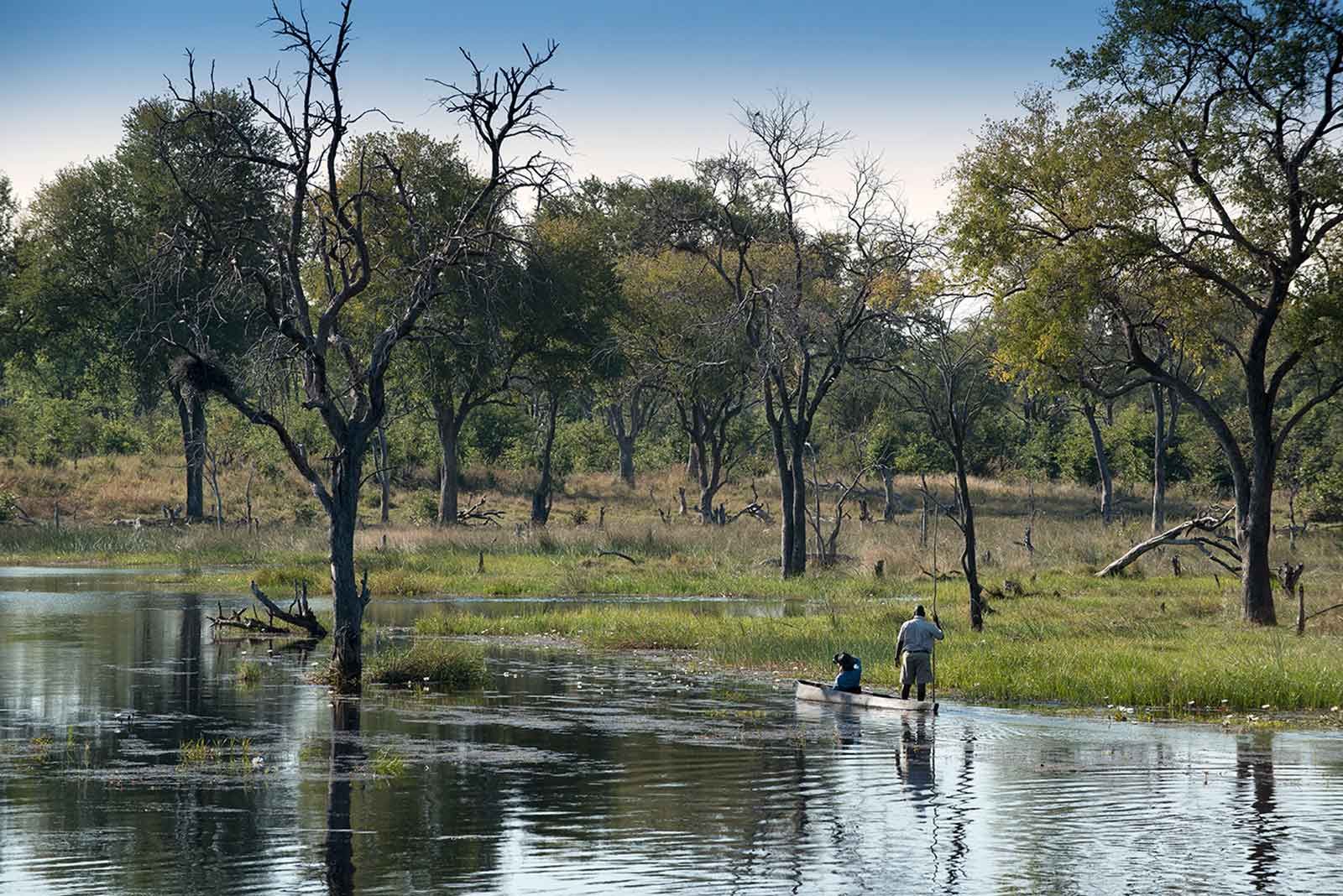 Walking Safari in Botswana