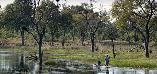 Wild Botswana Wild Botswana
