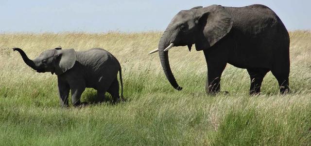 Pilanesberg National Park Pilanesberg National Park