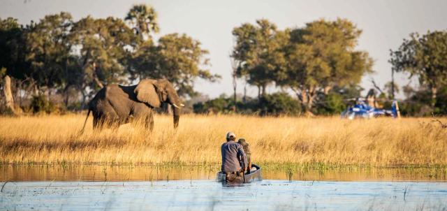 Beagle Expeditions Beagle Expeditions