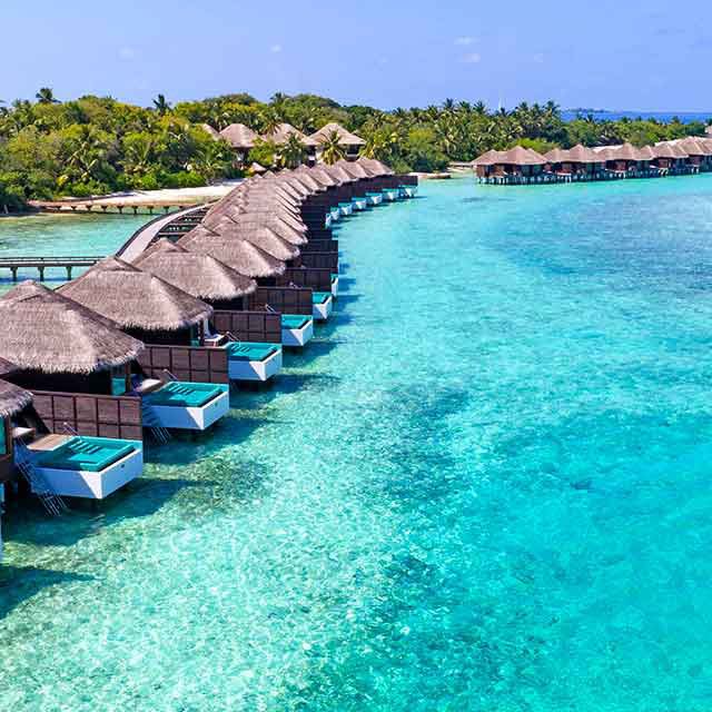 Full Moon Resort Full Moon Resort