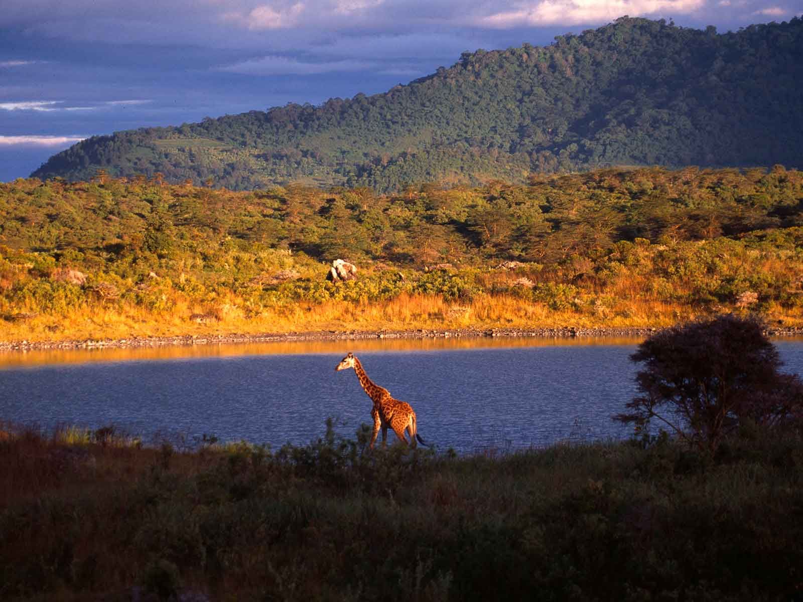 Arusha Arusha