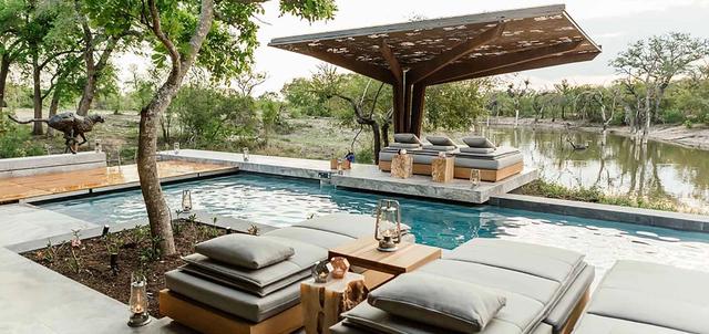 Cheetah Plains Cheetah Plains