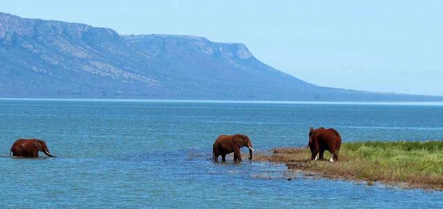 Elephant Coast Guesthouse Elephant Coast Guesthouse