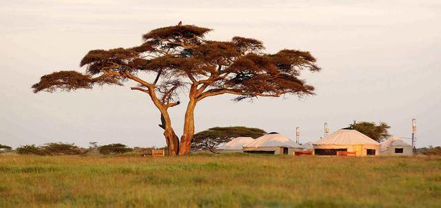 Nduara Loliondo Nduara Loliondo