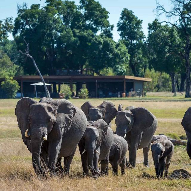Scenic Splendour Comfortable Scenic Splendour Comfortable