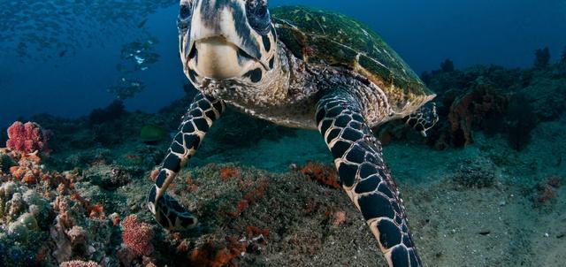 Vila Do Paraiso Vila Do Paraiso