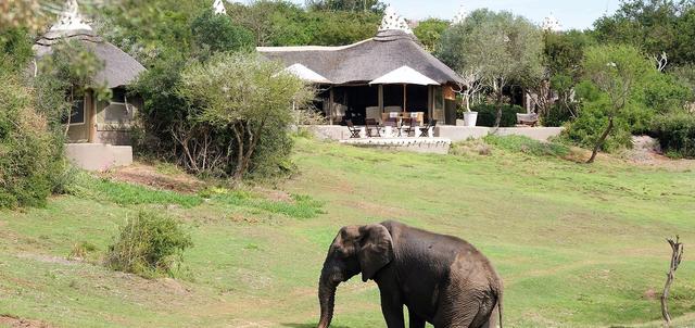 Amakhala Safari Lodge