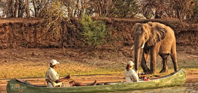 Zambezi Expeditions Zambezi Expeditions