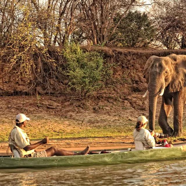 Zambezi Expeditions