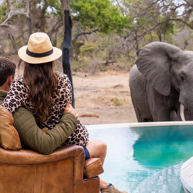 Siviti Timbavati Plains Siviti Timbavati Plains