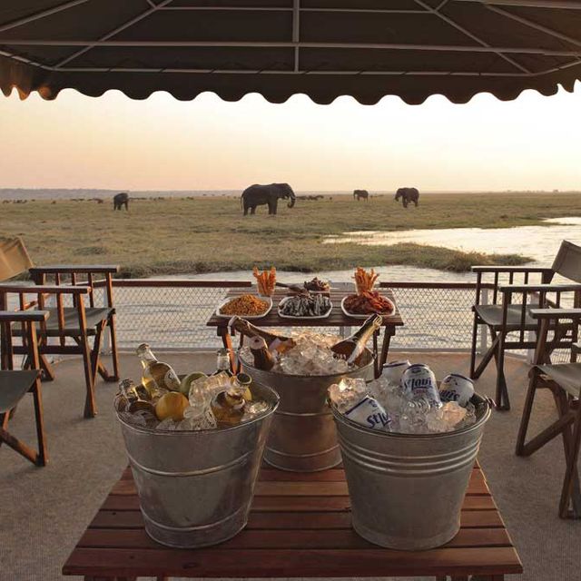 Chobe under Canvas Chobe under Canvas