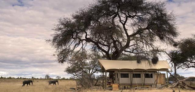 Somalisa Expeditions Camp Somalisa Expeditions Camp