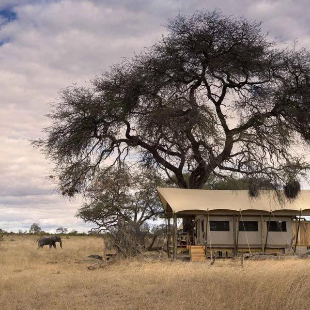 Somalisa Expeditions Camp Somalisa Expeditions Camp