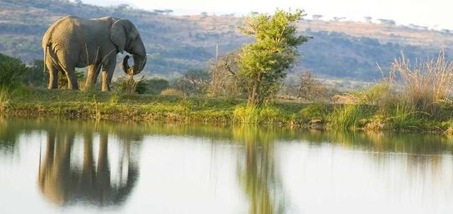 Elephant Rock Safari Lodge Elephant Rock Safari Lodge