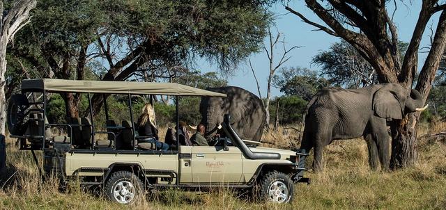 Okavango Introduction Okavango Introduction