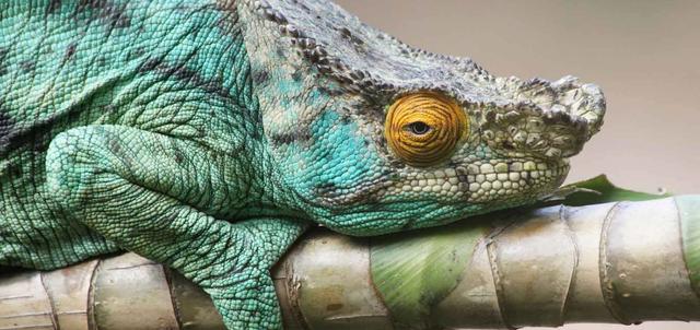 Isalo Ranch Isalo Ranch