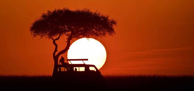 Campi Ya Tembo Campi Ya Tembo