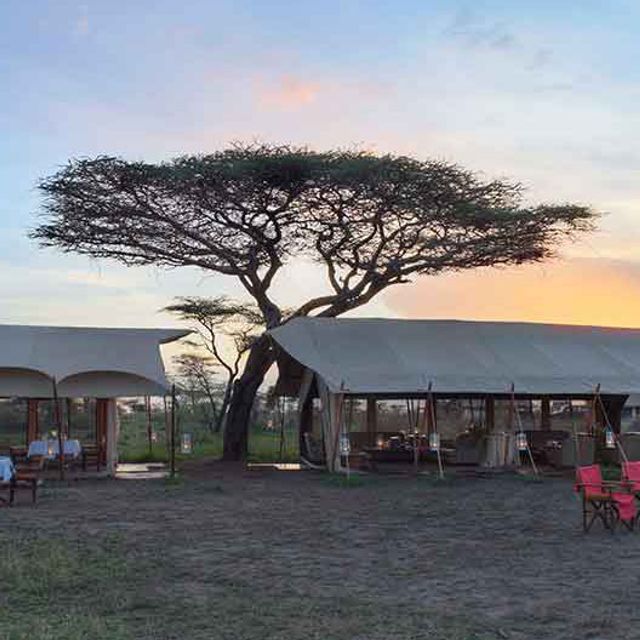 andBeyond Serengeti Under Canvas andBeyond Serengeti Under Canvas