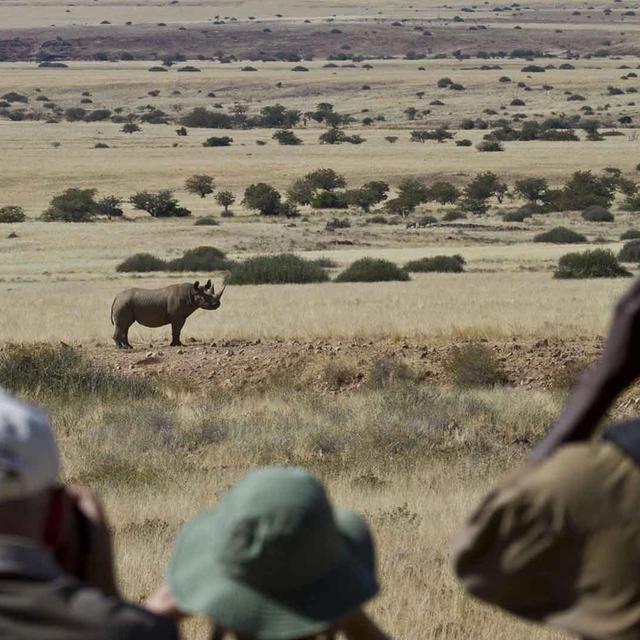 Desert Rhino Camp Desert Rhino Camp