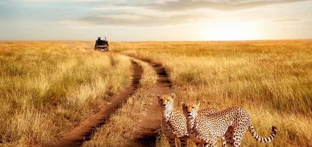 Serengeti National Park Serengeti National Park