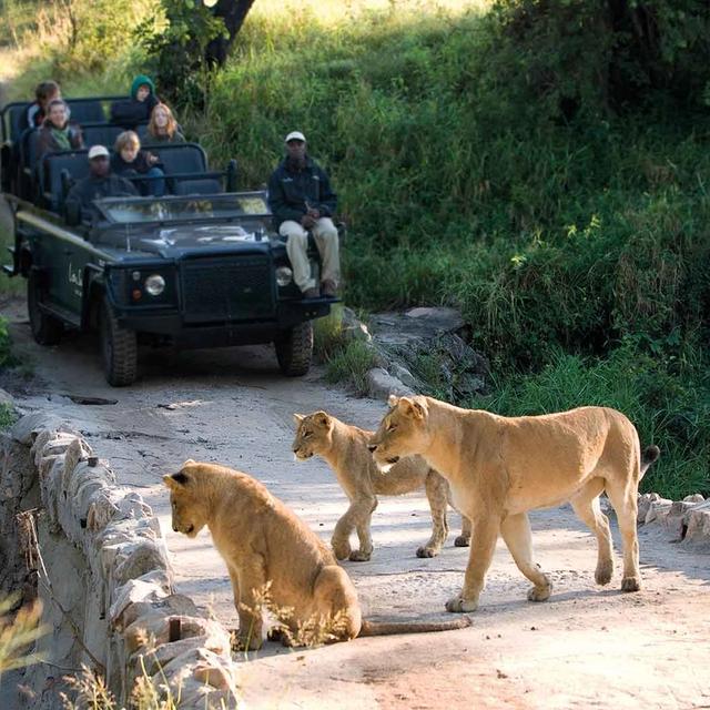 Best of the Kruger Luxury Best of the Kruger Luxury