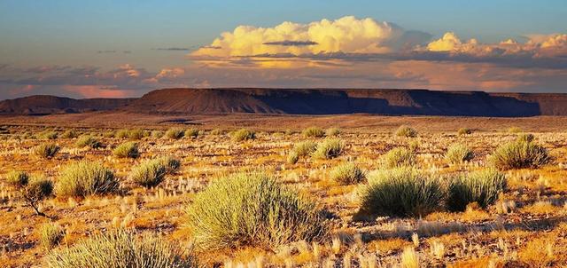 The Kalahari The Kalahari