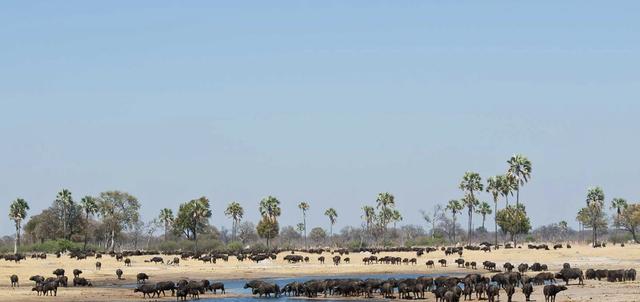 Tom's Safari House Tom's Safari House