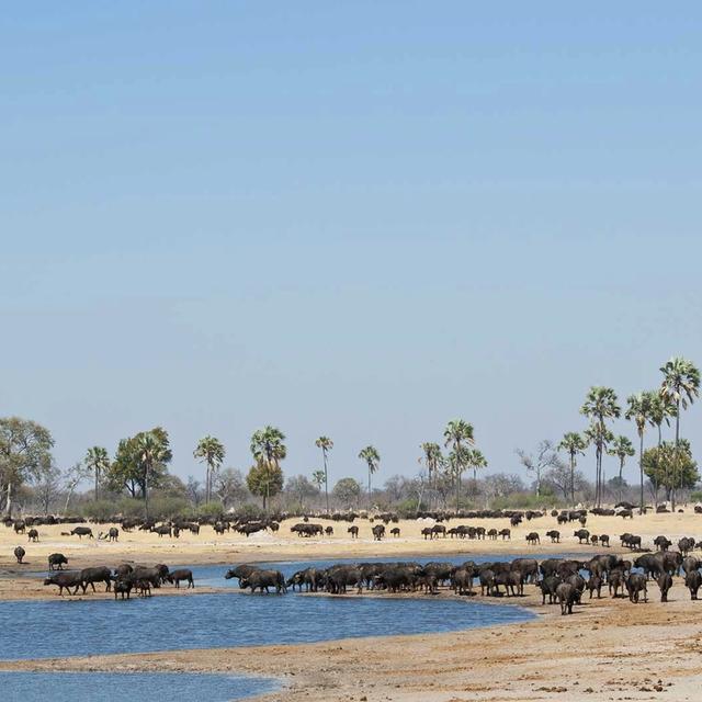 Tom's Safari House Tom's Safari House